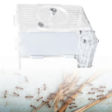 Maxbell DIY ANT Farm Transparent Easy to Install Anthill Ants Vivarium for Kids Gift