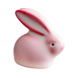 Maxbell Ceramic Rabbit Figurine Souvenir Bunny Statue for Desktop Bedroom Decoration