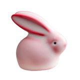 Maxbell Ceramic Rabbit Figurine Souvenir Bunny Statue for Desktop Bedroom Decoration