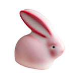 Maxbell Ceramic Rabbit Figurine Souvenir Bunny Statue for Desktop Bedroom Decoration
