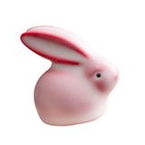 Maxbell Ceramic Rabbit Figurine Souvenir Bunny Statue for Desktop Bedroom Decoration