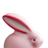 Maxbell Ceramic Rabbit Figurine Souvenir Bunny Statue for Desktop Bedroom Decoration