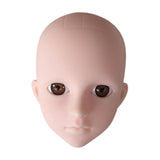 Maxbell Mannequin Training Head Cosmetology Face Head for Beauty Salon Home Beginner Brown Eyes