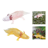 Maxbell PVC Salamander Figure Simulated Salamander Toy for Toddlers Gift Party Favor Pink