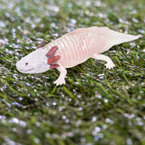 Maxbell PVC Salamander Figure Simulated Salamander Toy for Toddlers Gift Party Favor Pink