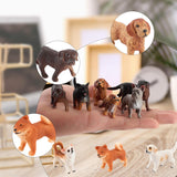 Maxbell 9x Mini Dog Figurines Toy Mini Crafts for Bath Toys Photo Props Cake Toppers