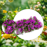 Maxbell Flower Cluster Miniature Bushy for Train Landscape Railroad Scenery Dioramas Purple