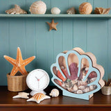 Maxbell Seashell Display Box Desktop Piggy Bank Stones Collectible Storage Container