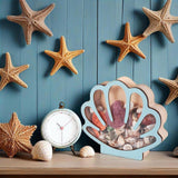 Maxbell Seashell Display Box Desktop Piggy Bank Stones Collectible Storage Container