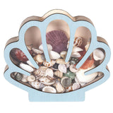 Maxbell Seashell Display Box Desktop Piggy Bank Stones Collectible Storage Container
