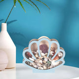 Maxbell Seashell Display Box Desktop Piggy Bank Stones Collectible Storage Container