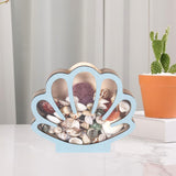 Maxbell Seashell Display Box Desktop Piggy Bank Stones Collectible Storage Container