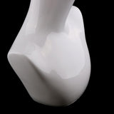 2pcs Mannequin Manikin Head Jewelry Wigs Glasses Hat Hairband Display Stand