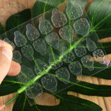 Maxbell Maxbell 240Pcs Transparent Double Sided Fake Nail Tabs Glue Sticker Tips Extension