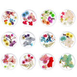 Maxbell Maxbell 3D Decoration Real Natural Dried Flower For UV Gel Acrylic Nail Art Tips 01