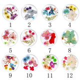 Maxbell Maxbell 3D Decoration Real Natural Dried Flower For UV Gel Acrylic Nail Art Tips 01