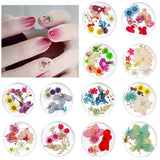 Maxbell Maxbell 3D Decoration Real Natural Dried Flower For UV Gel Acrylic Nail Art Tips 01
