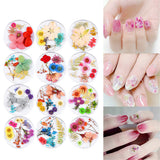 Maxbell Maxbell 3D Decoration Real Natural Dried Flower For UV Gel Acrylic Nail Art Tips 01