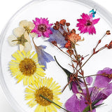 Maxbell Maxbell 3D Decoration Real Natural Dried Flower For UV Gel Acrylic Nail Art Tips 01
