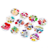 Maxbell Maxbell 3D Decoration Real Natural Dried Flower For UV Gel Acrylic Nail Art Tips 01