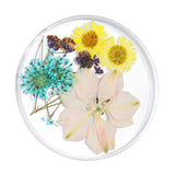 Maxbell Maxbell 3D Decoration Real Natural Dried Flower For UV Gel Acrylic Nail Art Tips 04