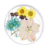 Maxbell Maxbell 3D Decoration Real Natural Dried Flower For UV Gel Acrylic Nail Art Tips 04