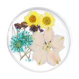 Maxbell Maxbell 3D Decoration Real Natural Dried Flower For UV Gel Acrylic Nail Art Tips 04