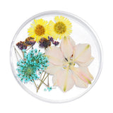 Maxbell Maxbell 3D Decoration Real Natural Dried Flower For UV Gel Acrylic Nail Art Tips 04