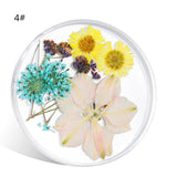 Maxbell Maxbell 3D Decoration Real Natural Dried Flower For UV Gel Acrylic Nail Art Tips 04