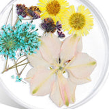 Maxbell Maxbell 3D Decoration Real Natural Dried Flower For UV Gel Acrylic Nail Art Tips 04
