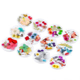 Maxbell Maxbell 3D Decoration Real Natural Dried Flower For UV Gel Acrylic Nail Art Tips 04