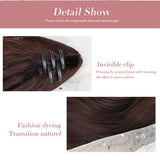Maxbell Clip in Wavy Ponytail Hair Extensions Synthetic Curly Daily Hairpiece Brown
