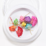 Maxbell Maxbell Dried Flowers Nail Art Manicure Tools For Acrylic Uv Gel Tips Decoration 9