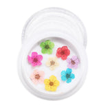 Maxbell Maxbell Dried Flowers Nail Art Manicure Tools For Acrylic Uv Gel Tips Decoration 10