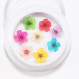 Maxbell Maxbell Dried Flowers Nail Art Manicure Tools For Acrylic Uv Gel Tips Decoration 10