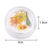 Maxbell Maxbell Dried Flowers Nail Art Manicure Tools For Acrylic Uv Gel Tips Decoration 10
