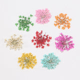 Maxbell Maxbell Dried Flowers Nail Art Manicure Tools For Acrylic Uv Gel Tips Decoration 11
