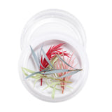 Maxbell Maxbell Dried Flowers Nail Art Manicure Tools For Acrylic Uv Gel Tips Decoration 14