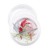 Maxbell Maxbell Dried Flowers Nail Art Manicure Tools For Acrylic Uv Gel Tips Decoration 14