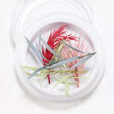 Maxbell Maxbell Dried Flowers Nail Art Manicure Tools For Acrylic Uv Gel Tips Decoration 14