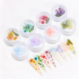 Maxbell Maxbell Dried Flowers Nail Art Manicure Tools For Acrylic Uv Gel Tips Decoration 15