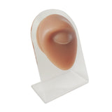 Maxbell Human Body Part Models Silicone Modeling for Home eye with stand