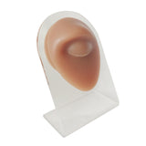 Maxbell Human Body Part Models Silicone Modeling for Home eye with stand