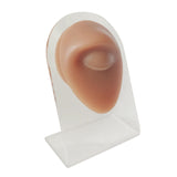 Maxbell Human Body Part Models Silicone Modeling for Home eye with stand