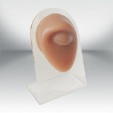 Maxbell Human Body Part Models Silicone Modeling for Home eye with stand