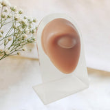 Maxbell Human Body Part Models Silicone Modeling for Home eye with stand