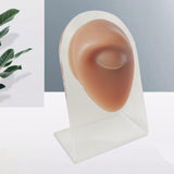 Maxbell Human Body Part Models Silicone Modeling for Home eye with stand