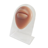 Maxbell Human Body Part Models Silicone Modeling for Home mouse with stand