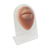 Maxbell Human Body Part Models Silicone Modeling for Home mouse with stand