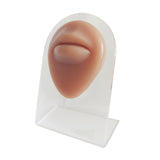 Maxbell Human Body Part Models Silicone Modeling for Home mouse with stand